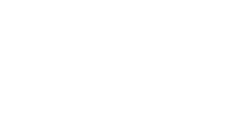 shop-icon
